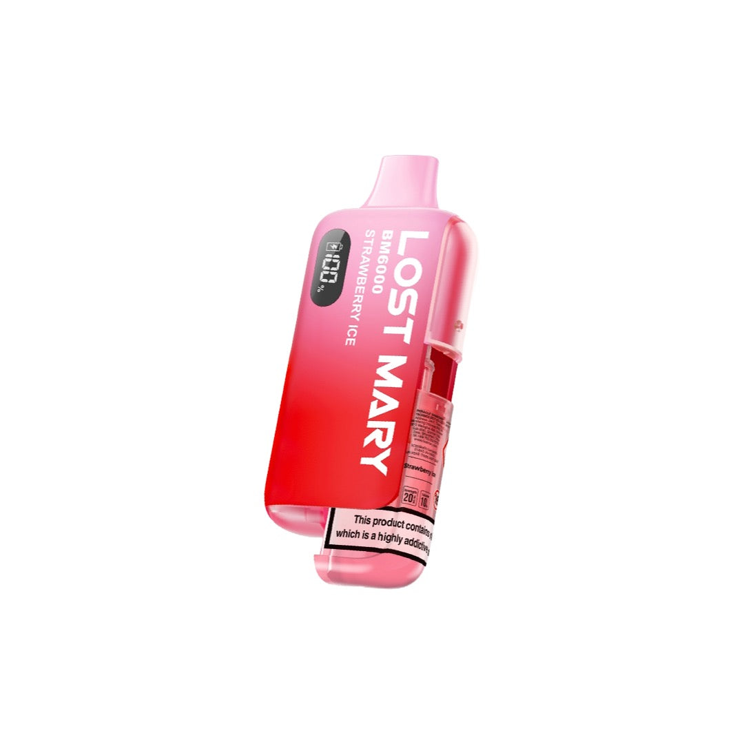Lost Mary BM6000 Prefilled Pod Kit